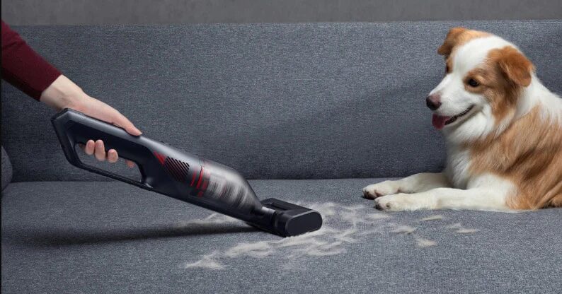 Aspirateur à main retirant des poils sur un canapé, chien à côté