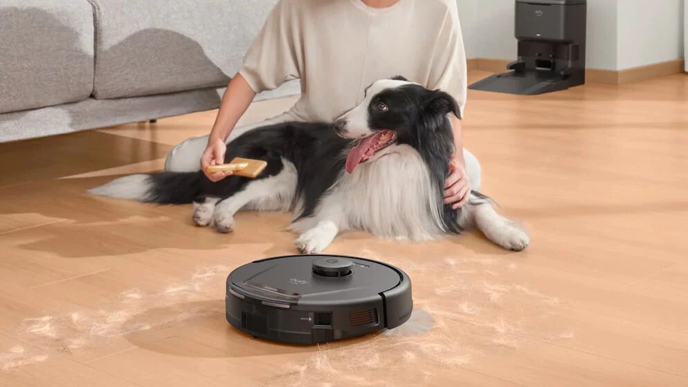 Robot aspirateur ramassant des poils près d'un border collie