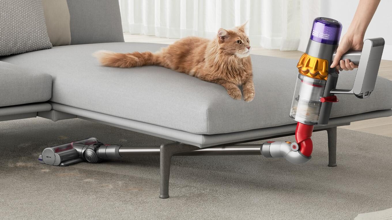 Aspirateur balai nettoyant sous un canapé, chat allongé dessus