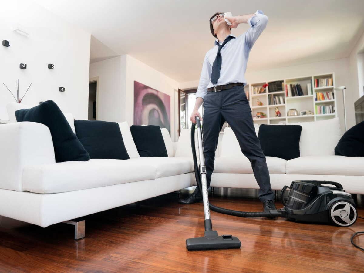 Aspirateur traîneau pour foyer avec animaux